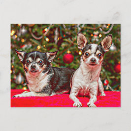 Cartão Postal De Festividades Natal Chihuahua