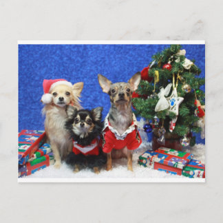 Cartão Postal De Festividades Natal Chihuahuas