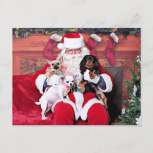 Cartão Postal De Festividades Natal - Chihuahuas e Cavalier