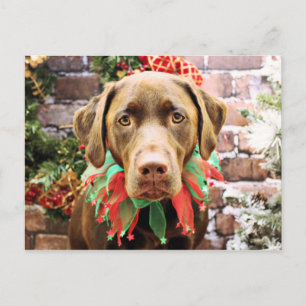 Cartão Postal De Festividades Natal - Chocolate Labrador - Hershey