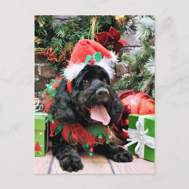 Cartão Postal De Festividades Natal - Cockapoo - Jack (Frente)