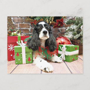 Cartão Postal De Festividades Natal - Cocker Spaniel - Laci