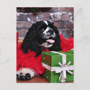 Cartão Postal De Festividades Natal - Cocker Spaniel - Maggie