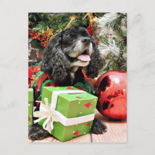Cartão Postal De Festividades Natal - Cocker Spaniel - Marshall