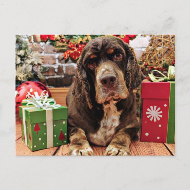 Cartão Postal De Festividades Natal - Cocker Spaniel - Remmy (Frente)