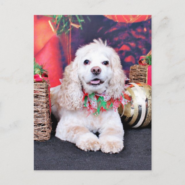 Cartão Postal De Festividades Natal - Cocker Spaniel - Sammy (Frente)