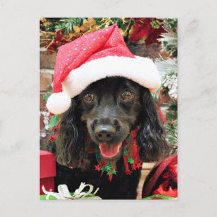 Cartão Postal De Festividades Natal - Cocker Spaniel X - Pepper