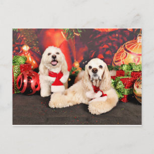 Cartão Postal De Festividades Natal - Cocker - Toby, Havanese - Little T