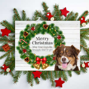 Cartão Postal De Festividades Natal com Australian Shepherd
