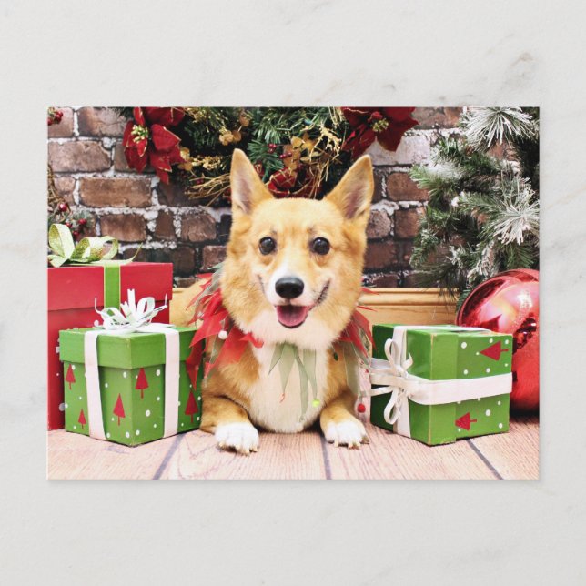 Cartão Postal De Festividades Natal - Corgi - panqueca (Frente)