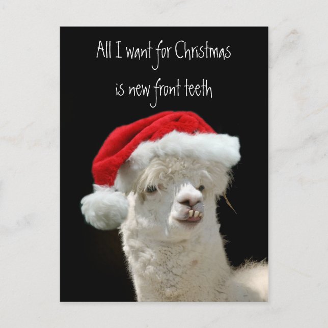 Cartão Postal De Festividades Natal da alpaca (Frente)