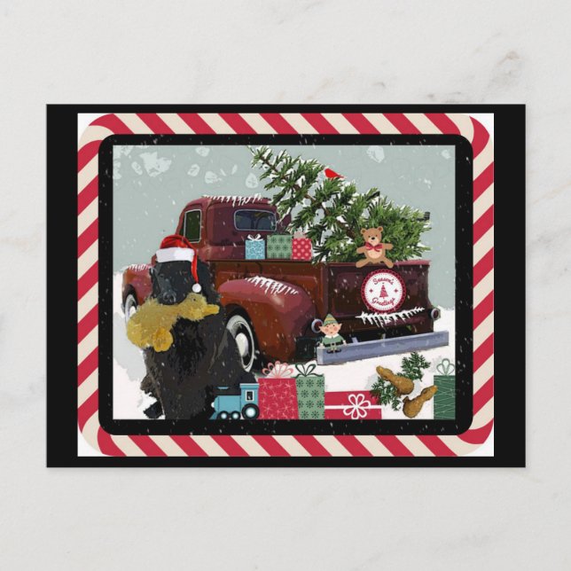 Cartão Postal De Festividades Natal da Terra Nova (Frente)