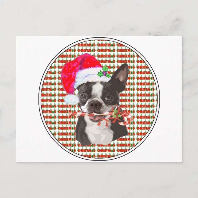 Cartão Postal De Festividades Natal de Boston Terrier (Frente)