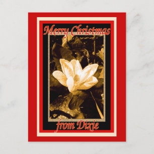 Cartão Postal De Festividades Natal de Dixie