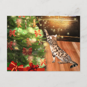 Cartão Postal De Festividades Natal de Gato Bengala