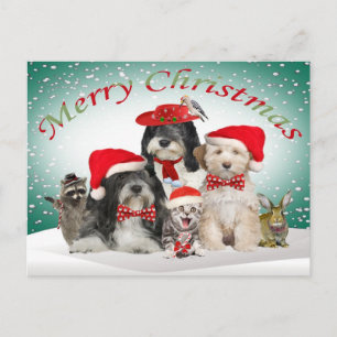 Cartão Postal De Festividades Natal de Terrier tibetano com amigos