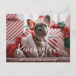 Cartão Postal De Festividades Natal de um Cão de Fotos Simples Elegante