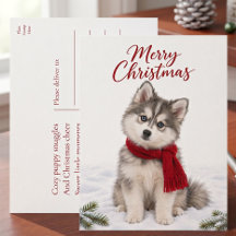 Natal do Amante de Cachorro Puppy Pomsky Fofo