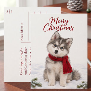 Cartão Postal De Festividades Natal do Amante de Cachorro Puppy Pomsky Fofo