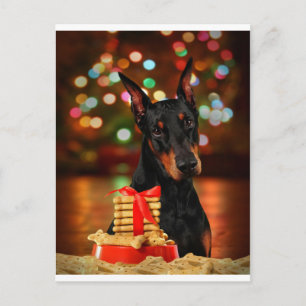 Cartão Postal De Festividades Natal do Doberman