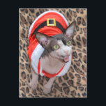 Cartão Postal De Festividades Natal do papai noel de Ninja do gato de Sphynx<br><div class="desc">Gato Ninja de Sphynx vestido como o papai noel para o Natal.</div>