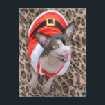 Cartão Postal De Festividades Natal do papai noel de Ninja do gato de Sphynx<br><div class="desc">Gato Ninja de Sphynx vestido como o papai noel para o Natal.</div>