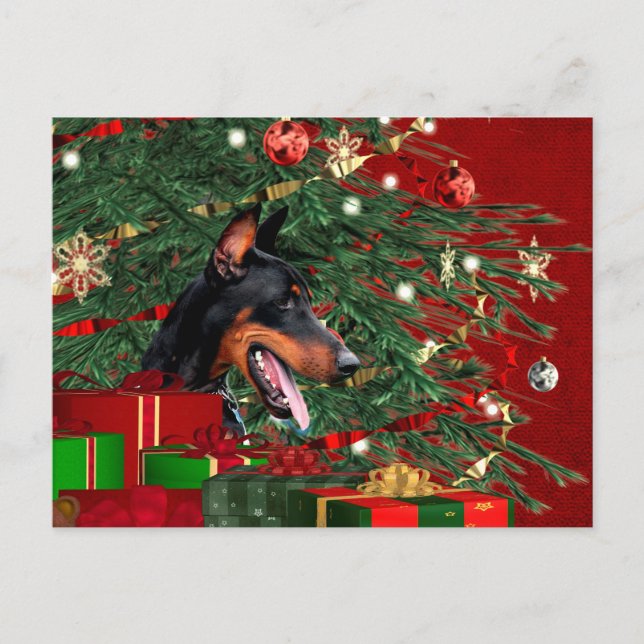 Cartão Postal De Festividades Natal do pinscher do Doberman (Frente)