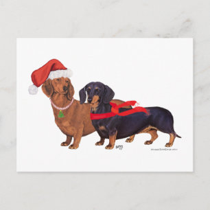 Cartão Postal De Festividades Natal dos Dachshunds