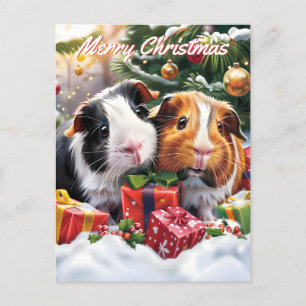 Cartão Postal De Festividades Natal dos Porcos-guineenses