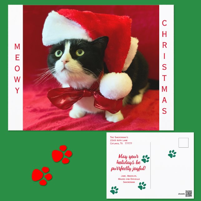 Cartão Postal De Festividades Natal Felino de Tuxedo (Criador carregado)