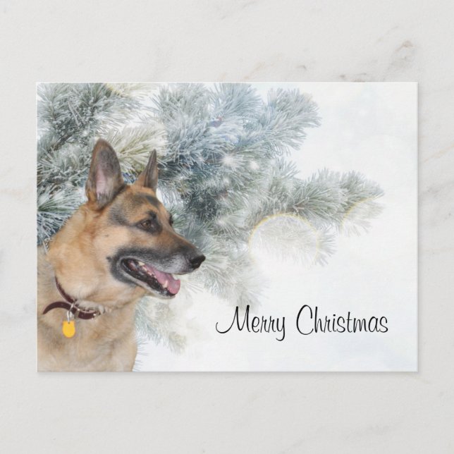 Cartão Postal De Festividades Natal German shepherd (Frente)