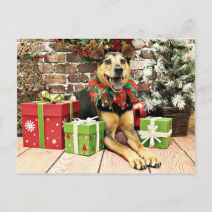 Cartão Postal De Festividades Natal - German shepherd X - Bailey