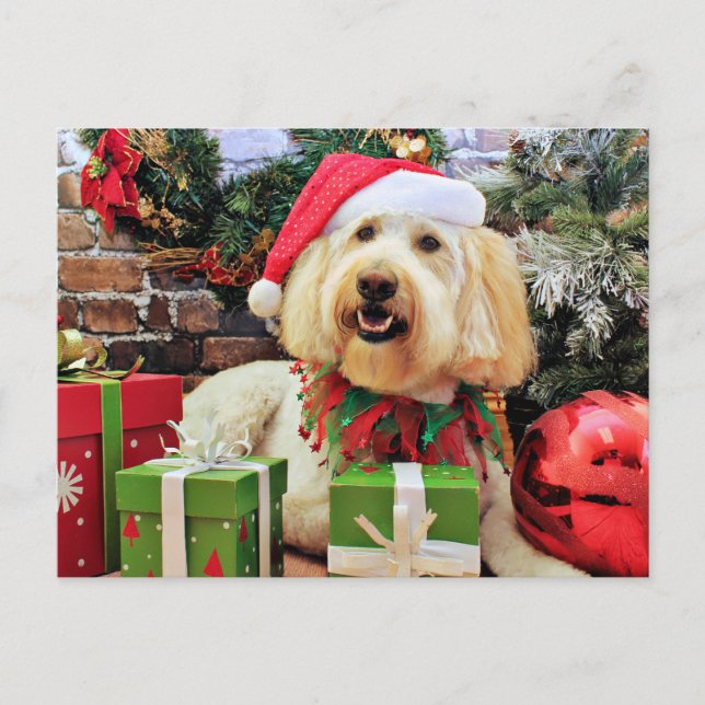 Cartão Postal De Festividades Natal - GoldenDoodle - Bella (Frente)