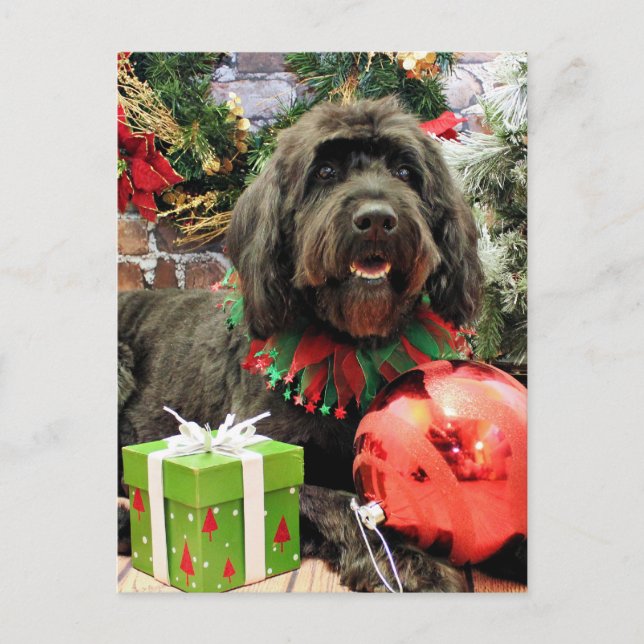 Cartão Postal De Festividades Natal - GoldenDoodle - Dutch (Frente)