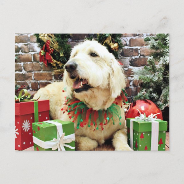 Cartão Postal De Festividades Natal - GoldenDoodle - Lacey (Frente)