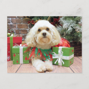 Cartão Postal De Festividades Natal - Havanês - Mason