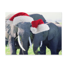 Natal inesquecível do elefante