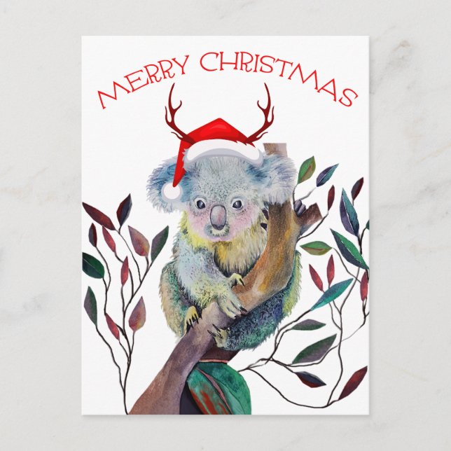 Cartão Postal De Festividades Natal Koala vestindo Santa Hat (Frente)