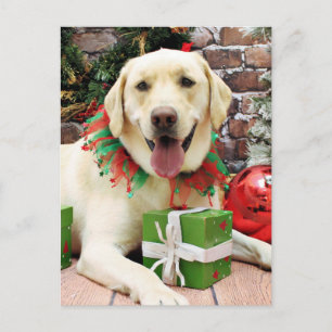 Cartão Postal De Festividades Natal - Labrador Amarelo - Strider