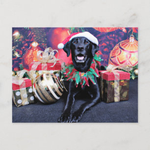 Cartão Postal De Festividades Natal - Labrador - Cooper