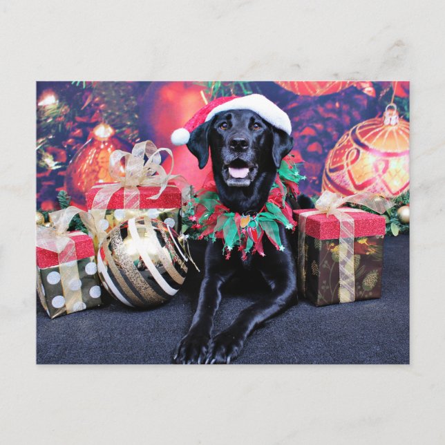 Cartão Postal De Festividades Natal - Labrador - Cooper (Frente)
