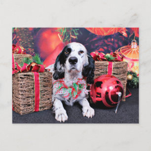 Cartão Postal De Festividades Natal - Louellen Setter - Veruka