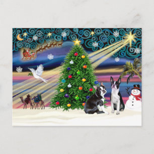 Cartão Postal De Festividades Natal Magic-Boston Terrier (2)
