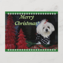 Cartão Postal De Festividades Natal maltês