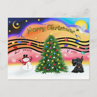 Cartão Postal De Festividades Natal Music 2 - Scottish Terrier 12