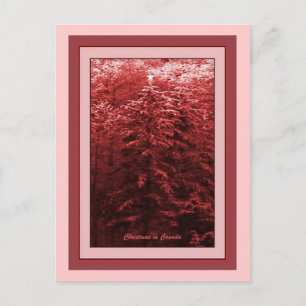 Cartão Postal De Festividades Natal no Canadá Red