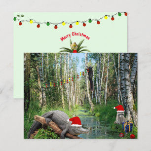Cartão Postal De Festividades Natal no Pântano da Flórida com Jacaré e Vida Selv
