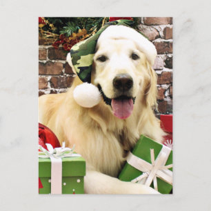 Cartão Postal De Festividades Natal - Ouro Retriever - Hudson