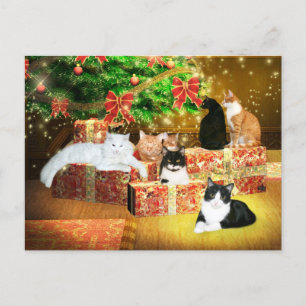 Cartão Postal De Festividades Natal para gatinhos