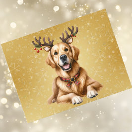 Cartão Postal De Festividades Natal para ouro Retriever